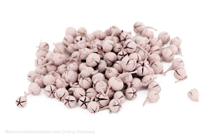 CHILONI PASTEL PINK +/-1KG