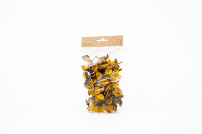 COTTON PODS GEEL +/-50GR