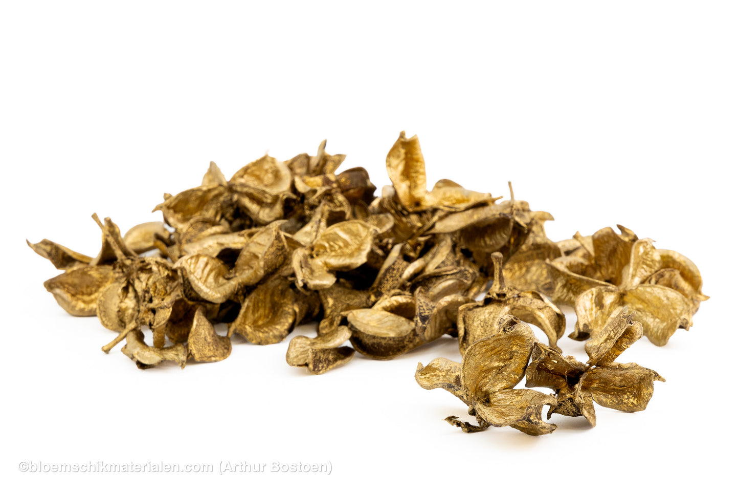 COTTON PODS GOUD +/-250GR