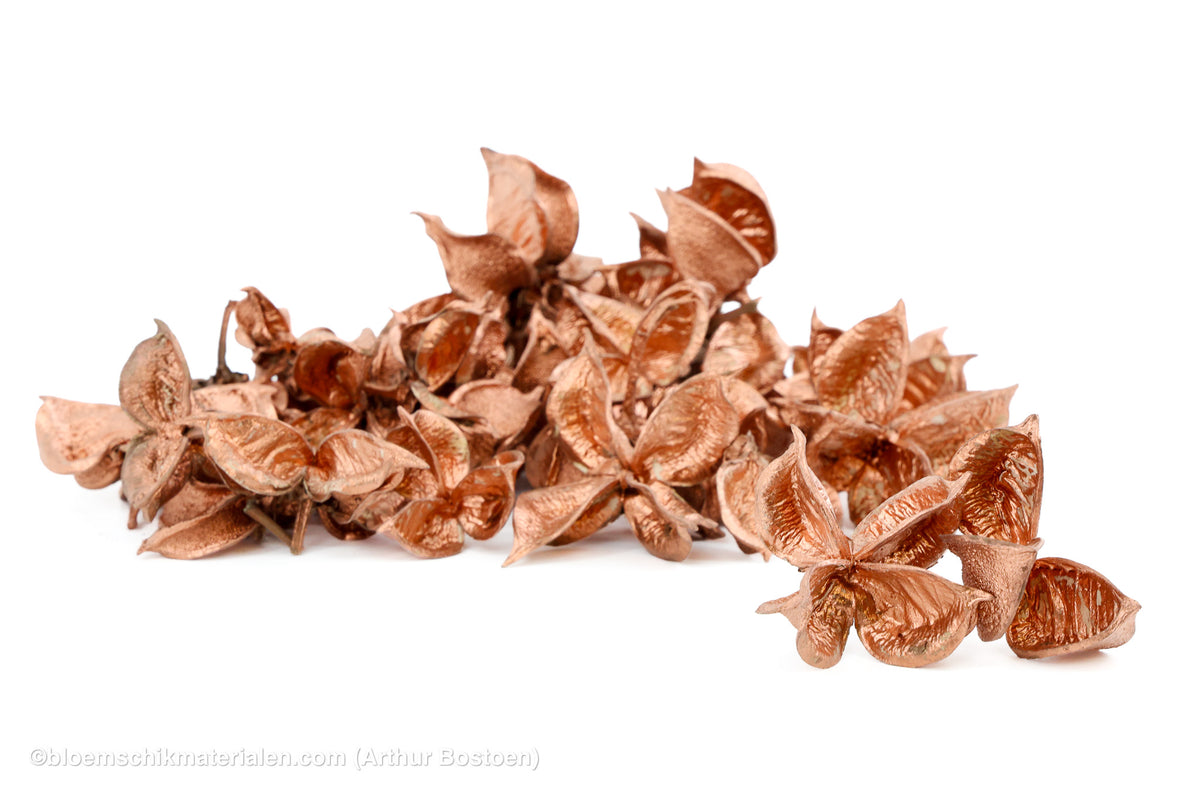 COTTON PODS KOPER +/-250GR
