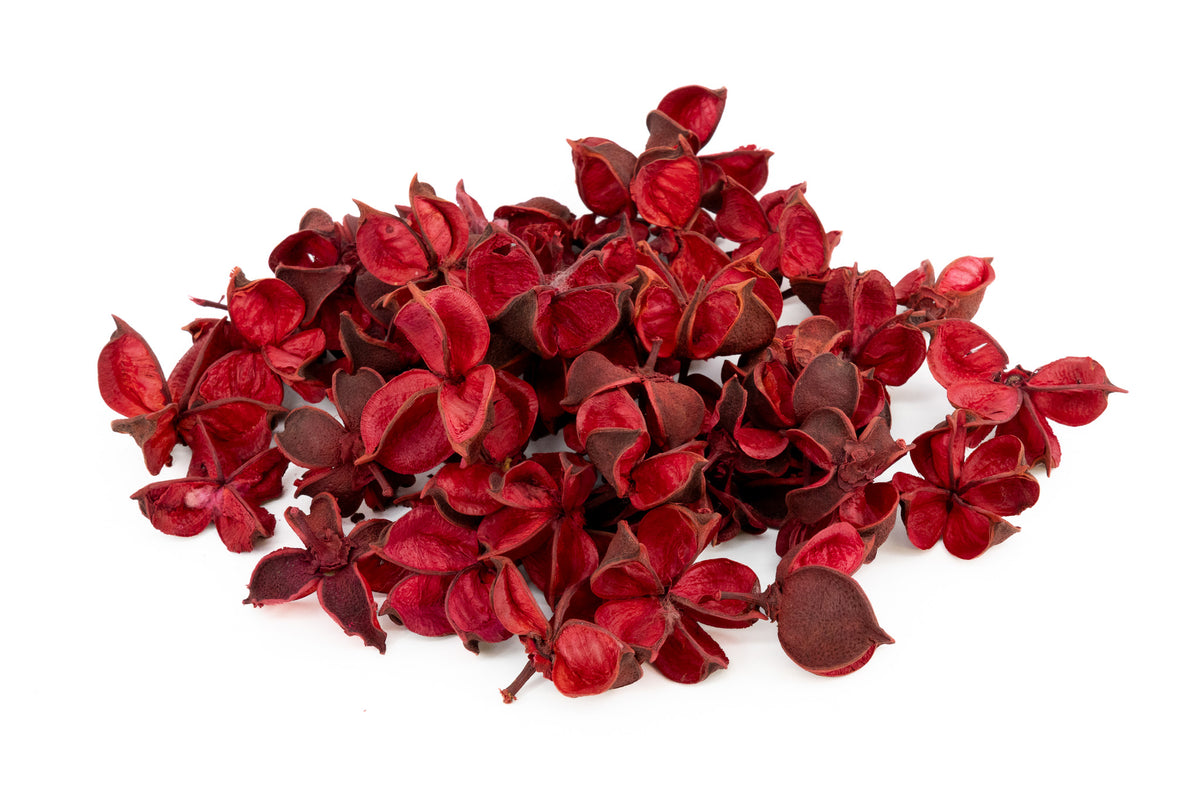 COTTON PODS ROOD +/-50GR