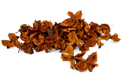 COTTON PODS TERRACOTTA +/-250GR