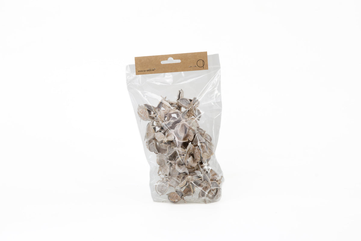 COTTON PODS WHITE WASH +/-50GR
