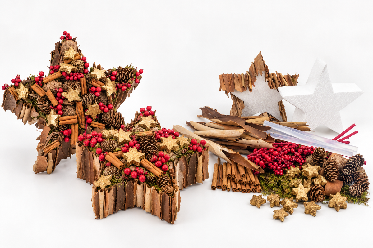 Duo Kerststerren (2x20cm)