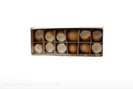 KIPPENEIEREN BRUIN OPEN 12ST