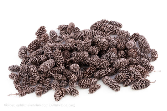 ELZEN ROSE GOLD +/-300GR