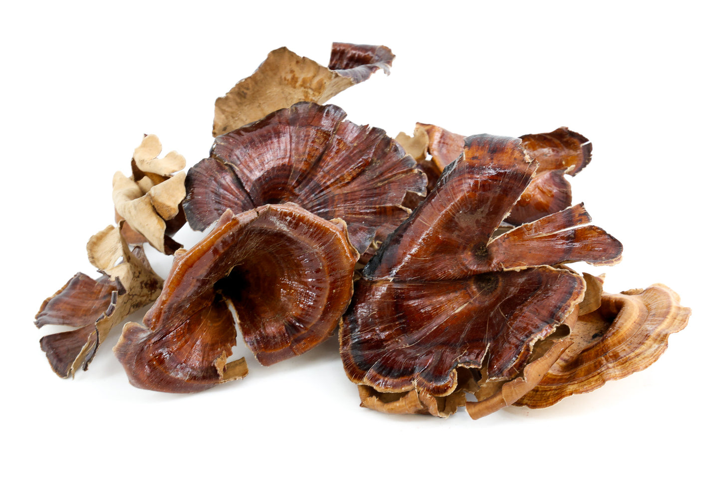 GOLDEN MUSHROOM MEDIUM NATUREL +/-250GR