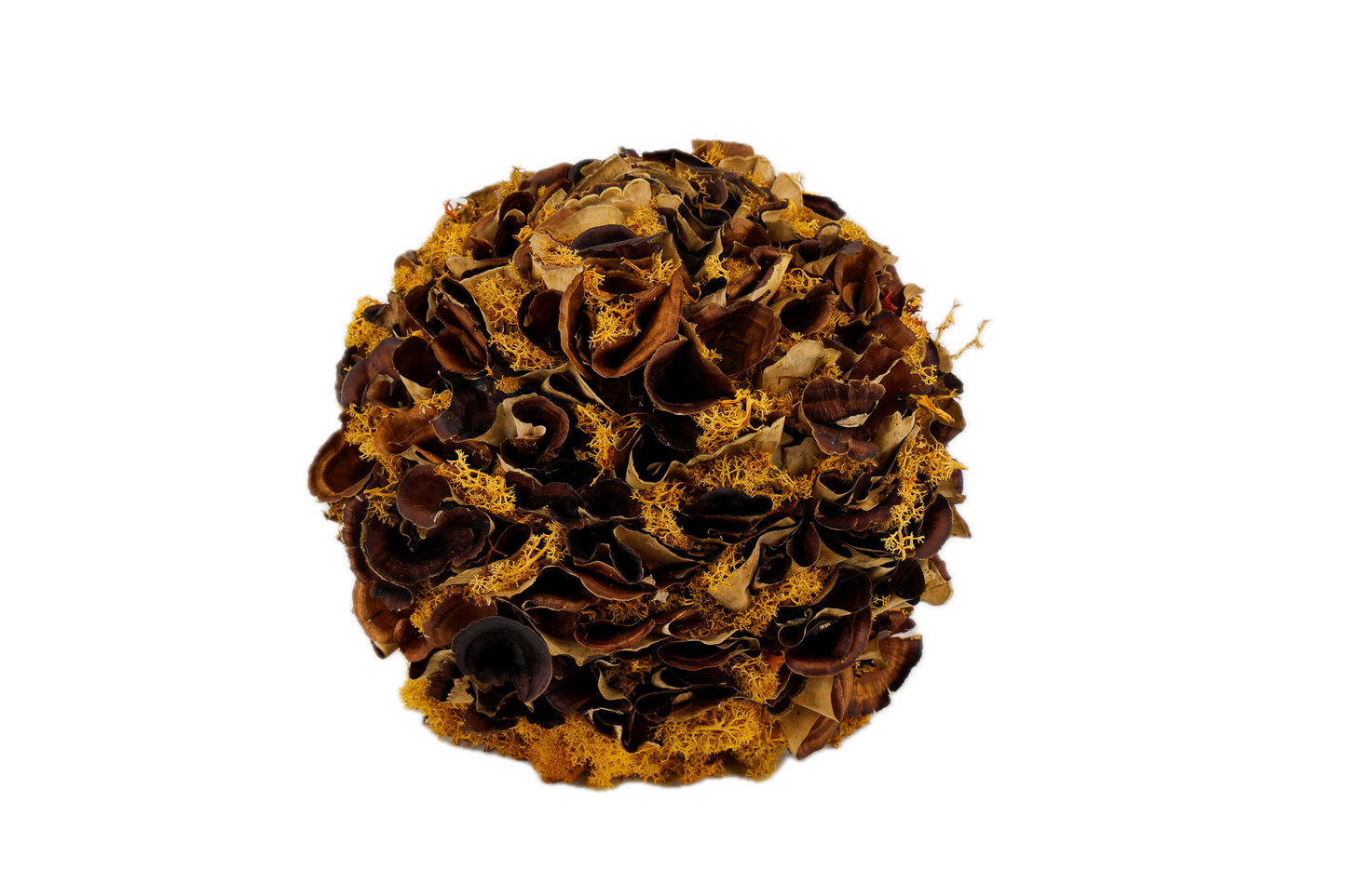 Herfstbol (±25cm ⌀)