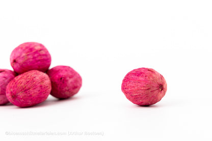 AMRA PODS ROOS (100 gr)