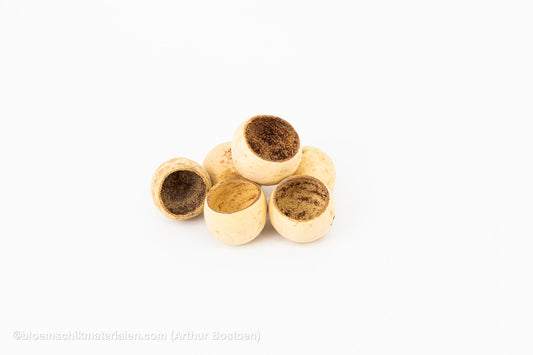 BELL CUP NATUREL (6 stuks)