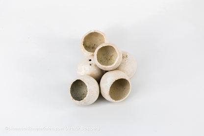 BELL CUP WHITE WASH (6 stuks)