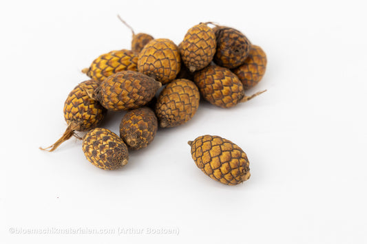 CANE FRUIT NATUREL (+/-150GR)