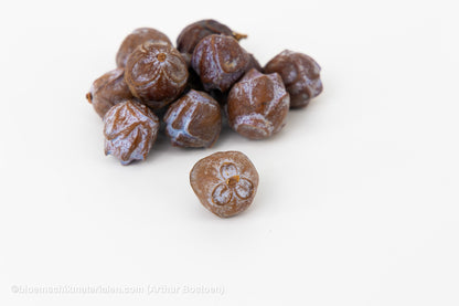 ANIJSFRUIT NATUREL (+/- 140gr)