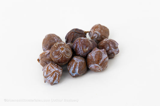 ANIJSFRUIT NATUREL (+/- 140gr)