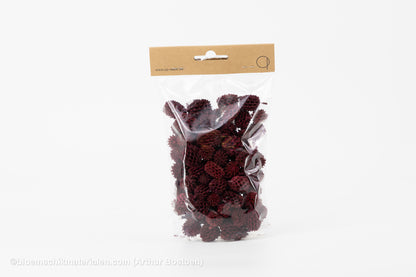 CASURINA ROOD (75GR)