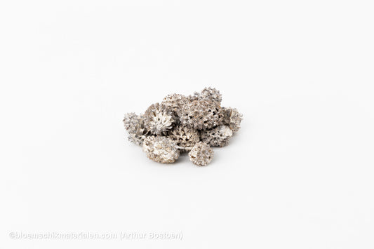 CASURINA WHITE WASH (75GR)