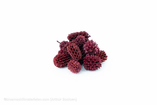 CASURINA ROOD (75GR)