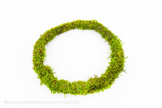 RING GROEN GECONCERVEERD MOS 26 CM