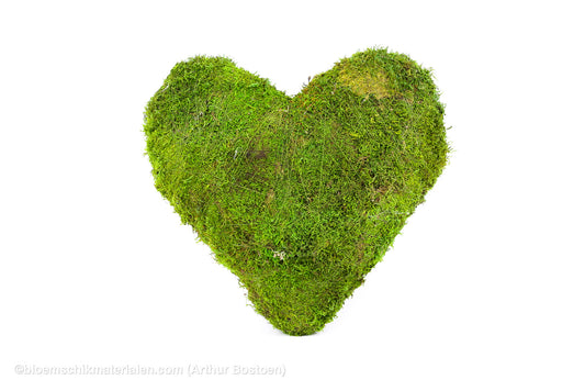 HART GROEN MOS 40 CM
