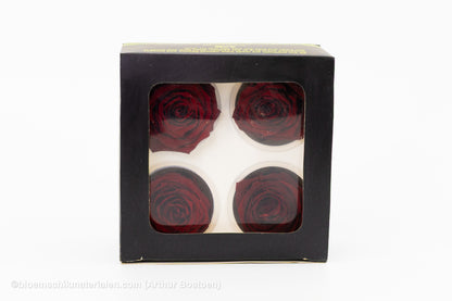 GECONSERVEERDE ROOS (LARGE OPEN) +/-8.5CM BORDEAUX 4ST