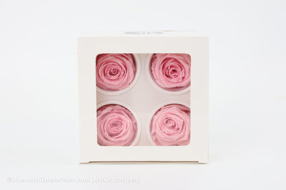 GECONSERVEERDE ROOS (LARGE OPEN) +/-8.5CM ROOS 4ST