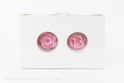 GECONSERVEERDE ROOS (MEDIUM OPEN) +/- 4.5CM ROZE 8ST