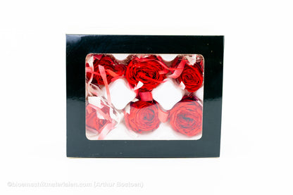 GECONSERVEERDE ROOS (ENGLISH ROSE PIPA) +/-4CM ROOD 6ST