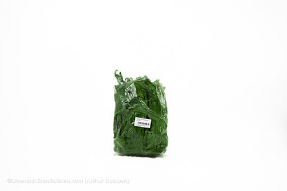 MOERBEISCHORS MOSGROEN +/-200GR