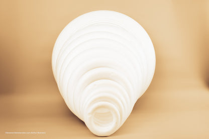 PIEPSCHUIM RING VLAK 300 X 60MM