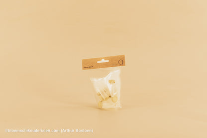 PLASTIC BUISJE 4CC 5X1.5CM 10ST (BLOEMFLESJE/PIPET)