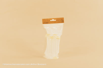 PLASTIC BUISJE 24CC 11X2CM 10ST (BLOEMFLESJE/PIPET)