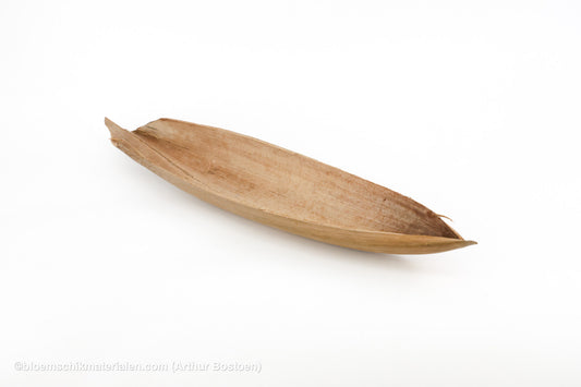 COCO BOAT NATUREL 1ST