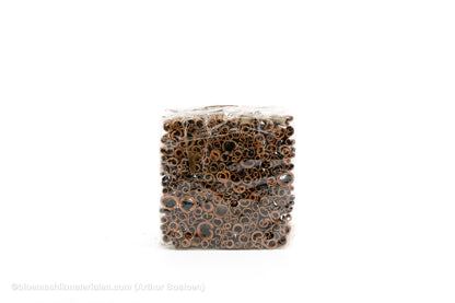 KANEEL WILD 8CM 1KG