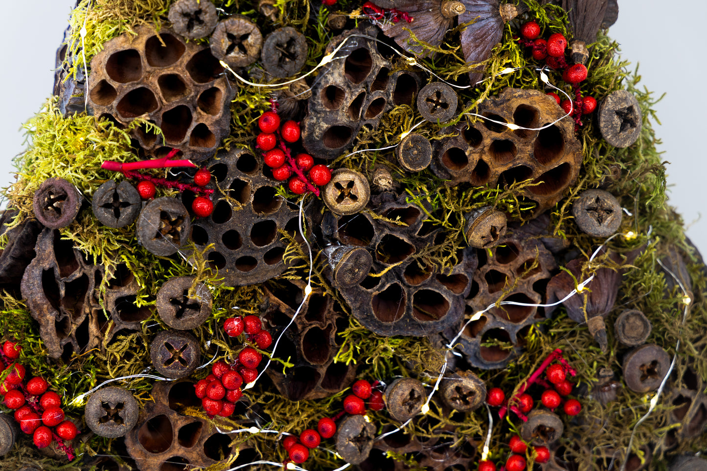 Kerstboom met eucalyptus & canella (Pakket)