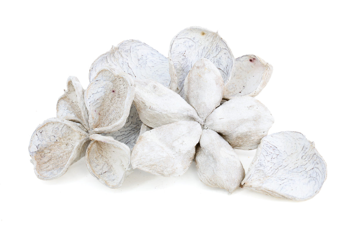 LANDLOTUS WHITE WASH 4ST