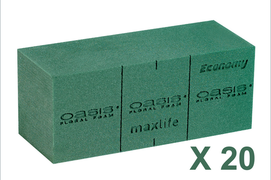 OASIS ECONOMY BLOKKEN 20ST (20X10X8CM)