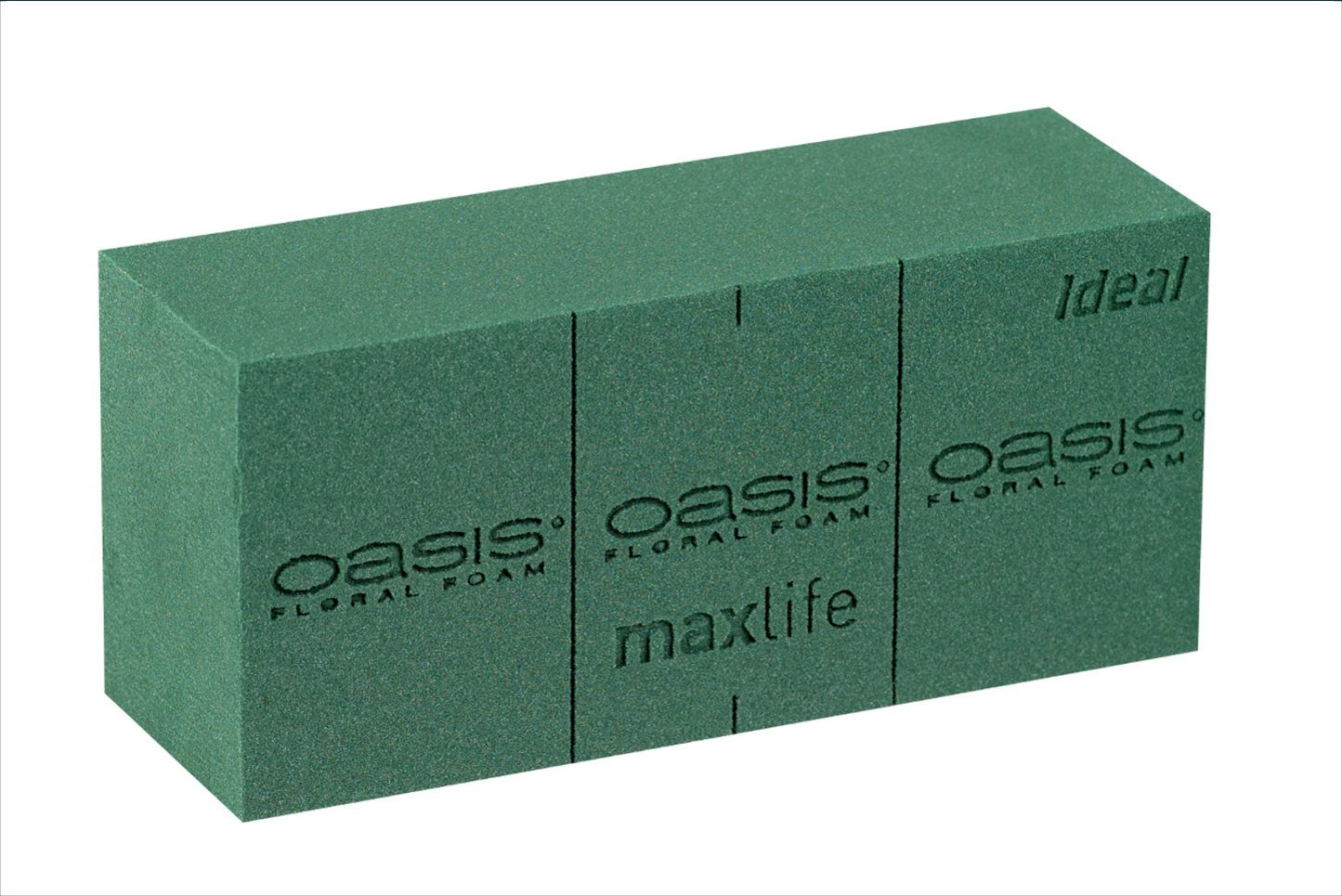 OASIS IDEAL BLOK 1ST (23X11X8CM)