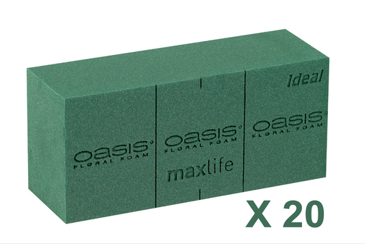 OASIS IDEAL BLOKKEN 20ST (23X11X8CM)