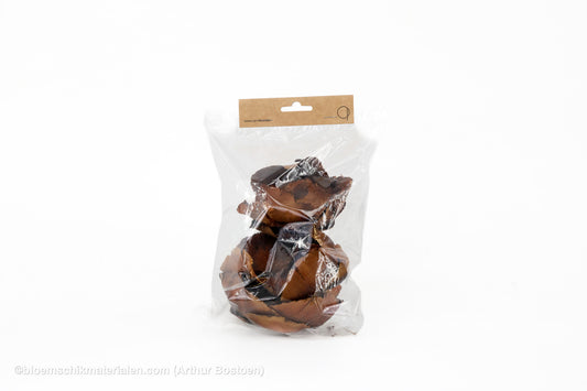PALM CUP NATUREL 5ST