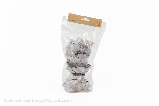 PALM CUP WHITE WASH 15ST