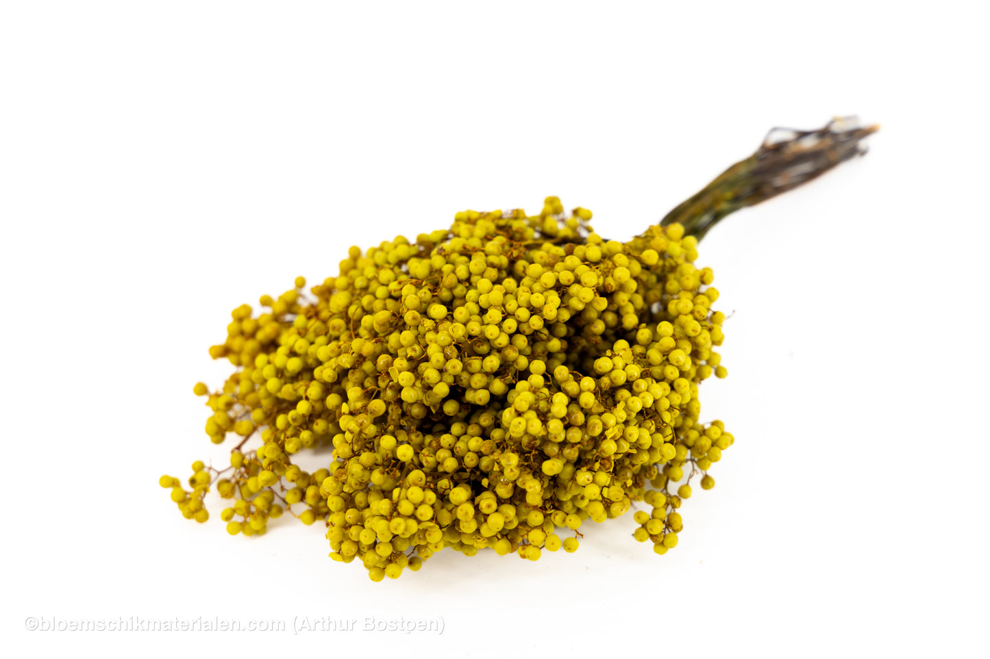 PEPPERBERRY GEEL