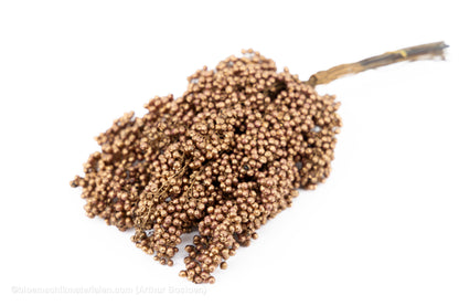 PEPPERBERRY KOPER