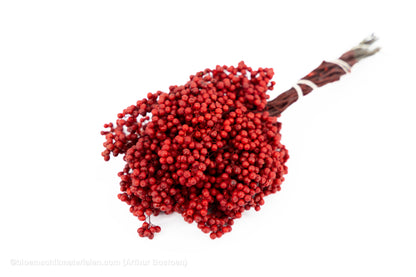 PEPPERBERRY ROOD