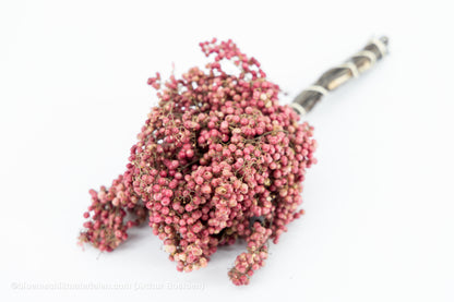 PEPPERBERRY ROZE