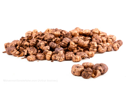 PHUTKA PODS KOPER +/-50GR