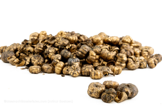 PHUTKA PODS GOUD +/-50GR