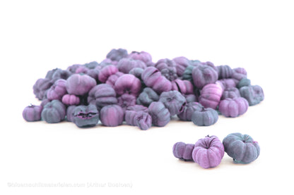 PHUTKA PODS BLACKBERRY +/-50GR