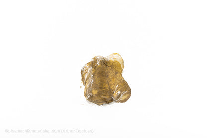 SKELETBLAD GOUD +/-100ST