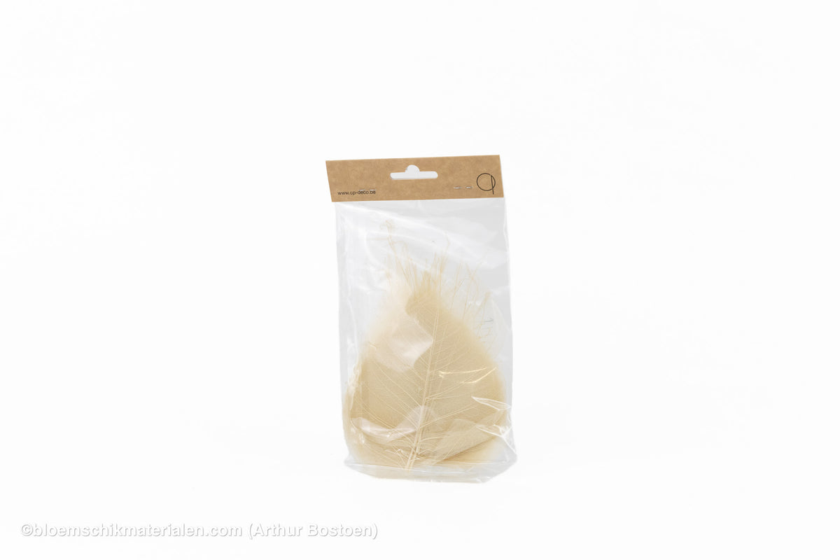 SKELETBLAD NATUREL +/-50ST