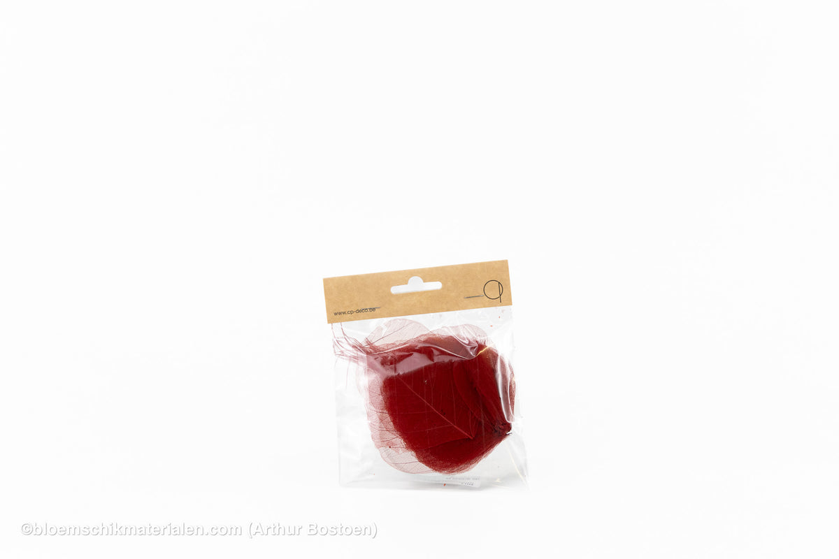SKELETBLAD ROOD +/- 25ST